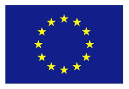 European Union Flag (we've got that covered, too). 