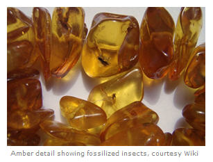 Amber detail showing fossilized insects in interior courtesy Wikipedia