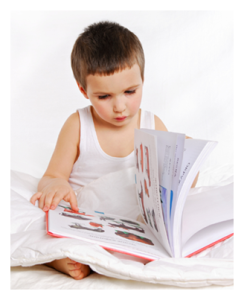 Young Child Engrossed in Reading