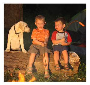 Boys and Dog Camping