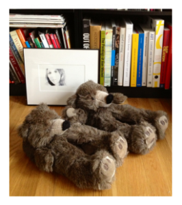 Furry Bear Slippers and Books