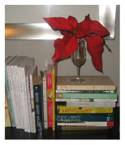 Holiday Decor 5 books