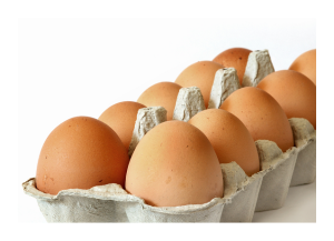 Carton of Brown Eggs