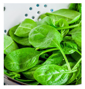 Raw Spinach