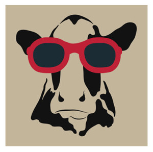 Cow Wearing Sunglasses